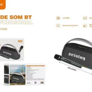 Caixa de som 300w pei-sp10